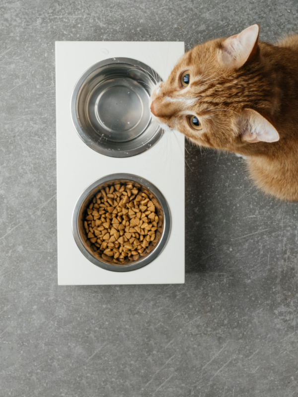 17582481fd86304ce68a732516f41fce