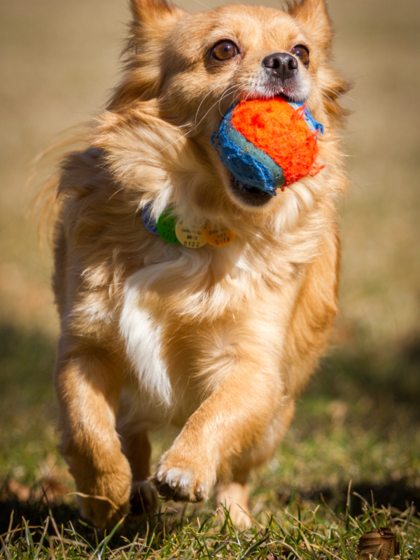 309f35343a66e76d56d9533c076e894a