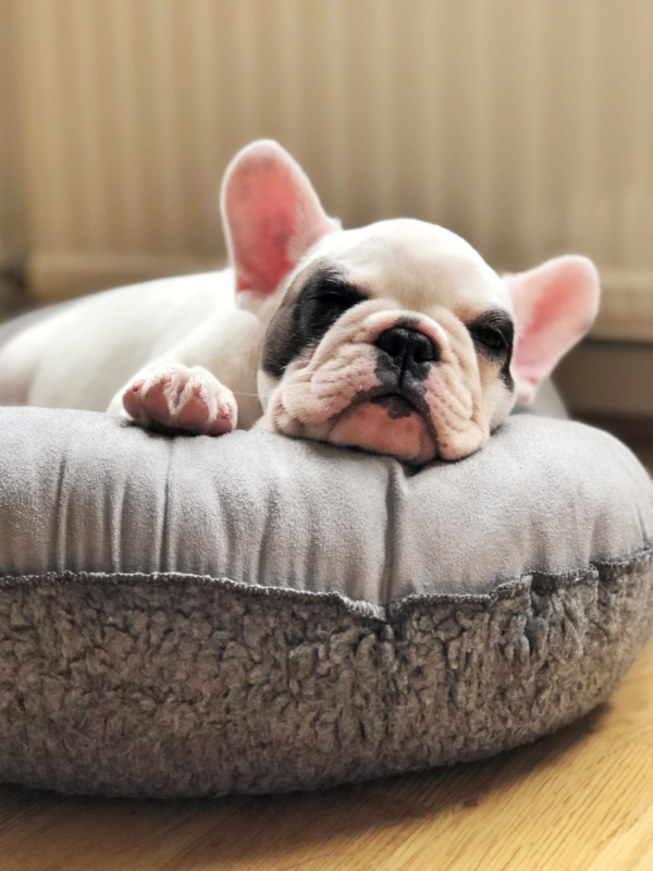 54ff61ad9b288c69aface273cfd0e72f