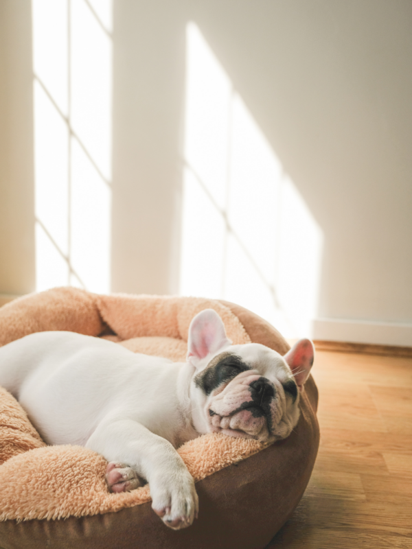 5c1424032fb57b34f74c6d0c9f6217d8