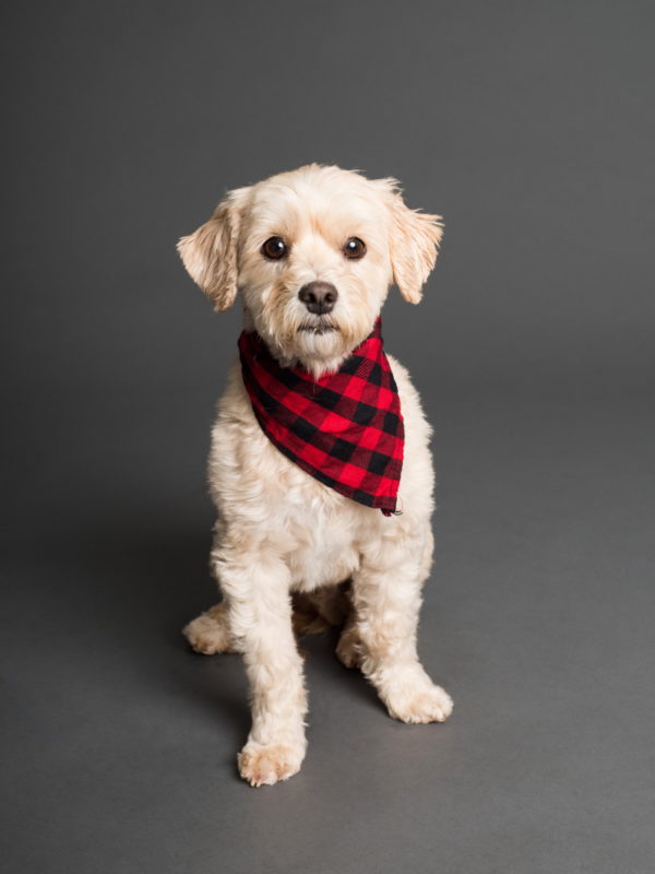 93ecfc5f497ad9e6ab9890116b1770a9