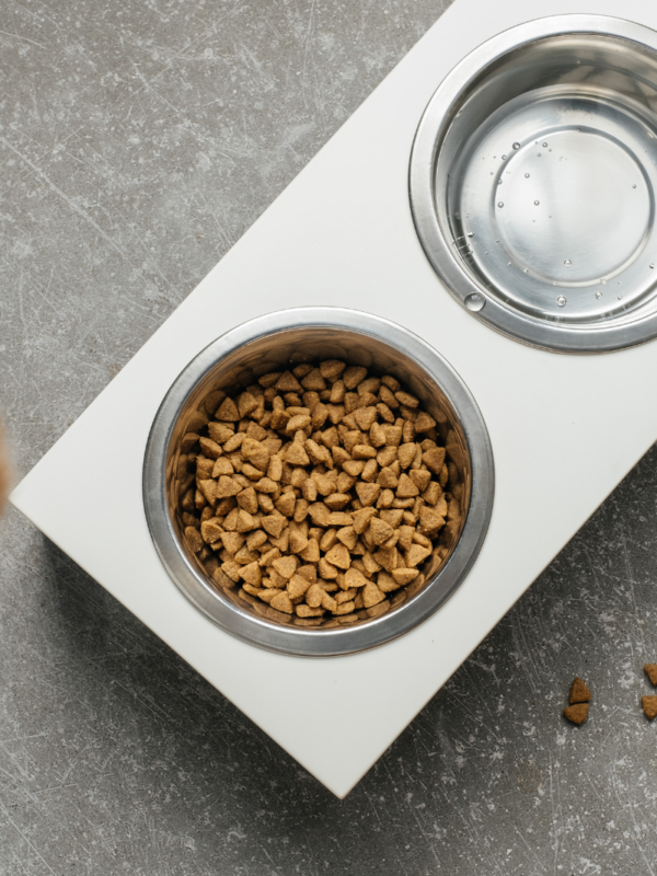 e7b19b7cbf9c8bdefbfb3a9bd59cddd7