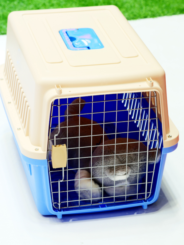 ead2278cb150285583af1e8678c1d2d8