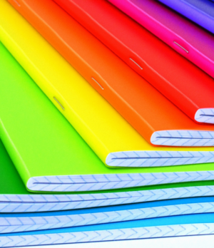 Caderno Brochura Grande Universitário Landon 96 Folhas