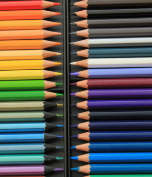 Lápis de Cor Montecito 24 cores